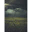 Tapis vert / gris-409827824