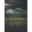 Tapis vert / gris-409827833