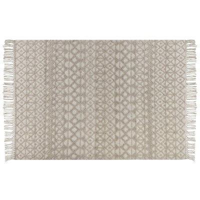Oxly Geometric Hand Woven Area Rug