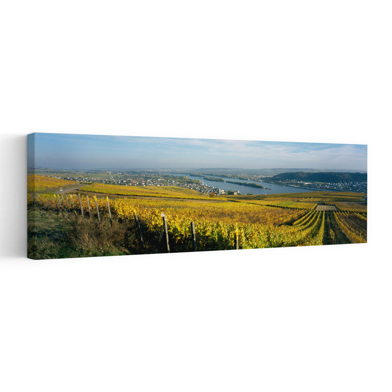 Vineyards Near A Town Rudesheim Rheingau Germany by Hendrik Holler - Wrapped Canvas Panoramic Print, 40.64 cm H x 121.92 cm W