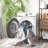 Journey Performance Machine Washable Oriental Rug-1446965787