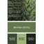 Tapis de la surface verte plante-2010832492