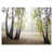 Toile tendue