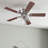 Briteny 42'' Ceiling Fan with Light Kit-953916484