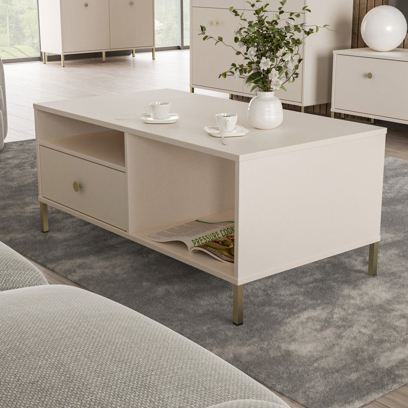 Adrihanna Coffee Table with Storage
