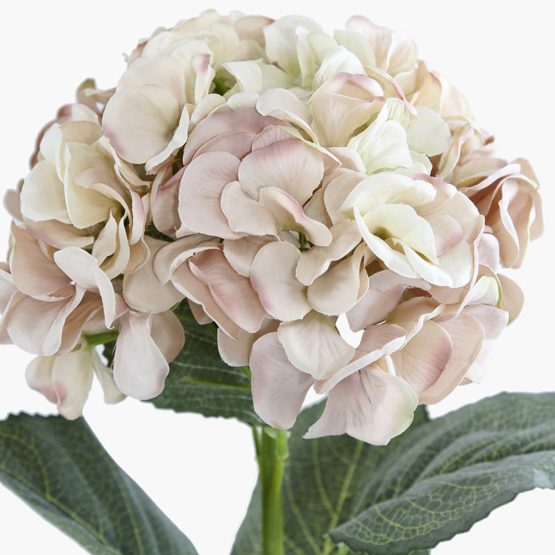 Hydrangea Arrangement, Pink
