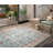 Miral Oriental Indoor Rug-1534189061