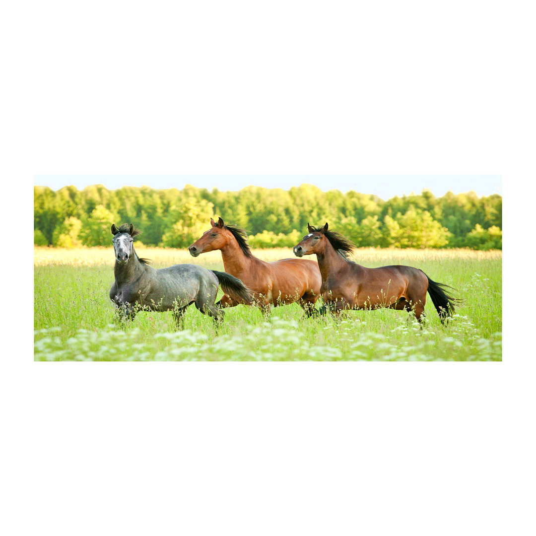 Horses In A Gallop - Wrapped Canvas Print