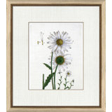Botanical La Flore II Painting