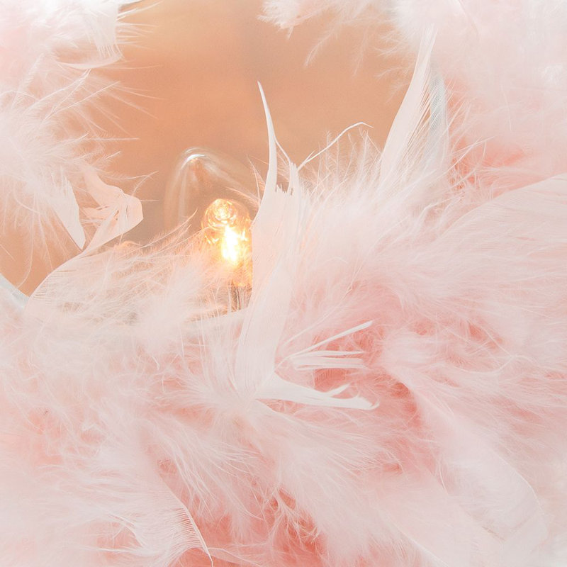 Wimmer Modern and Chic Real Feather Table Lamp with Base and Switch, Pink
