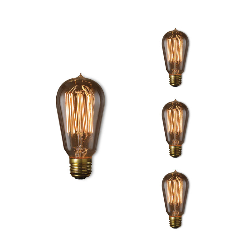 Ampoule incandescente à intensité variable 60 W ST18 blanc chaud E26 / culot moyen (standard)