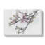 Beauty Of A Pink Cherry Blossom Tree In Abstract - Wrapped Canvas Print-55313901