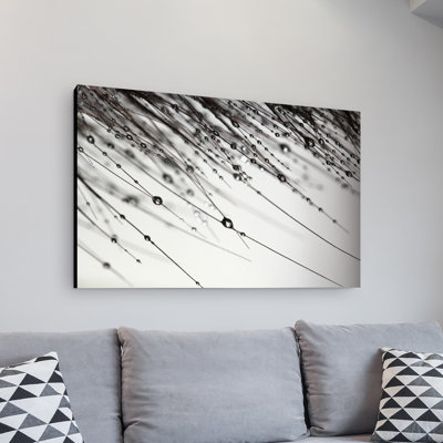 Modern & Contemporary