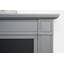 Adam 59 cm W Electric Fireplace with 6824 BTU