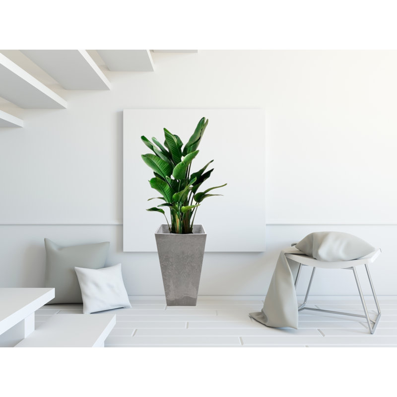 Boîte à fleurs en plastique, H 28 po x l 13 po x P 13 po, Charbon clair
