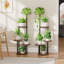 Plant Stand - Set of 2
