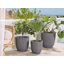 Hindmarch Pot Planter-267557356-267557358