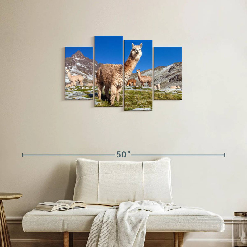 Brampt Woolly Andes Llamas, 22'' H x 36'' W
