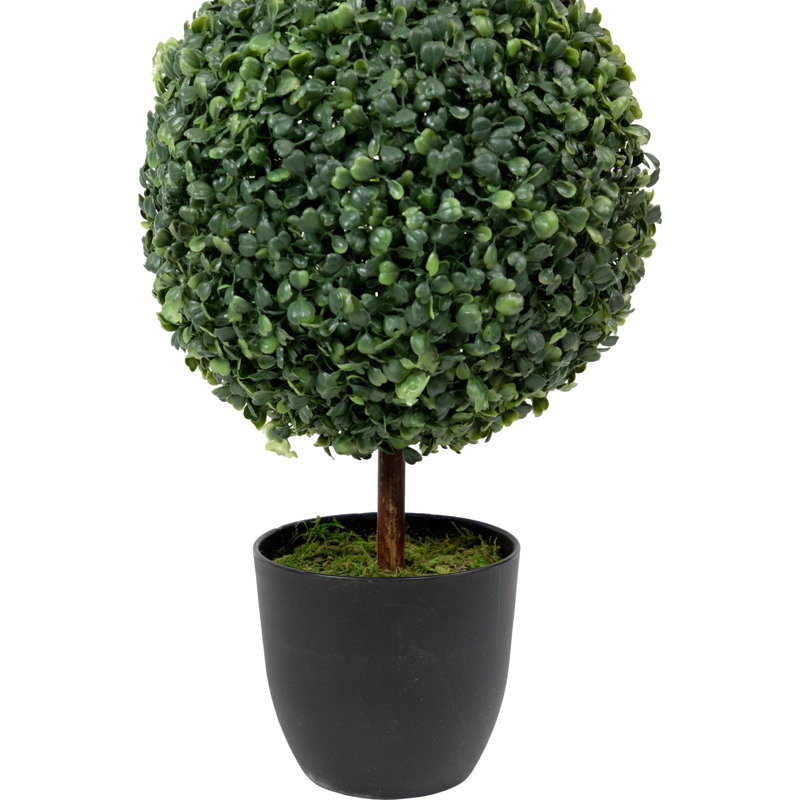 38" Two-Tone Green Boxwood Triple Ball Topiary in Round Pot