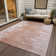  Rectangle Emblyn Indoor/Outdoor Area Rug with Non-Slip Backing