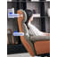 Fauteuil de bureau pivotant en cuir de vache et métal Modern