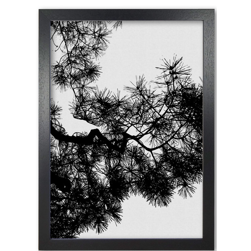 Pine Tree Black & White - Print, Black Grain Frame, 85 cm H x 60 cm W x 5 cm D