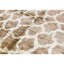 Hand-Knotted High-Quality Brown Area Rug