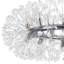 20 - Light Chandelier