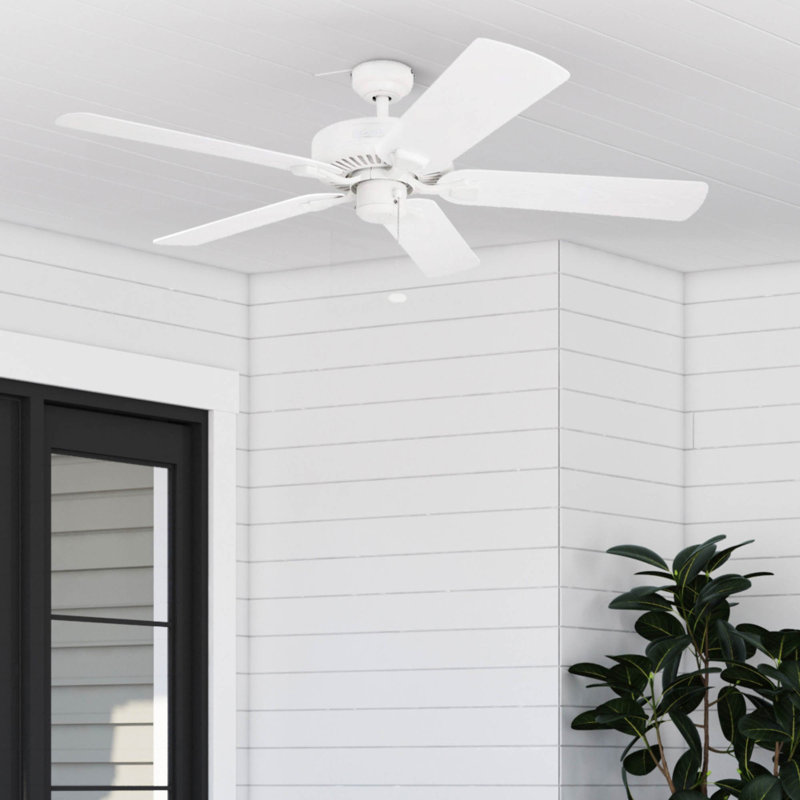 Belmar 52" Ceiling Fan with Pull Chain, White with White Blades