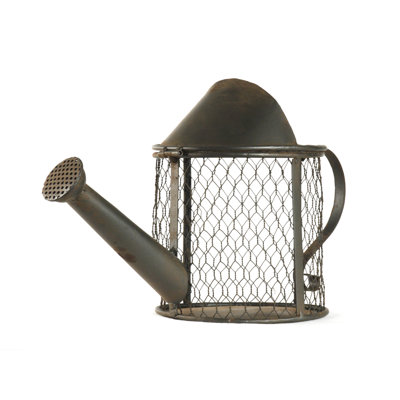 Decorative Watering Can