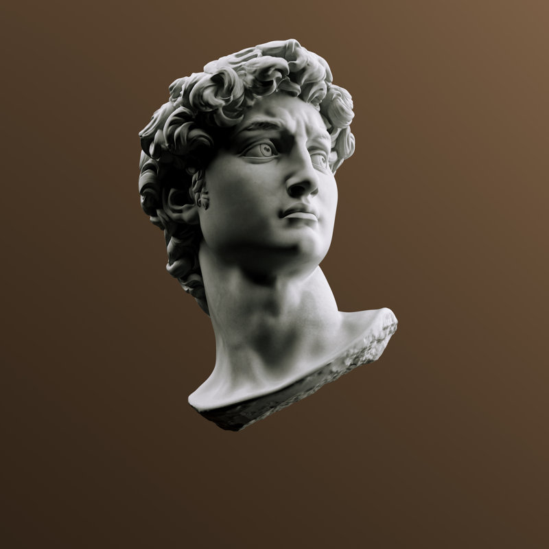 Head Of Statue, David Sculpture Bust, 3d Rendering - Wrapped Canvas Print, 51cm H x 51cm W x 3.8cm D