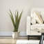 Artificial plants agave succulent in pot