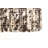 Sienna  Brown Rug 6'1" x 9'0"