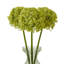 Arrangement-128130319-128130320