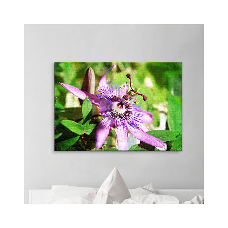 Print on Canvas, 100cm H x 150cm W x 2cm D