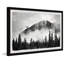 Forest On Fog - Single Picture Frame Print-701440142
