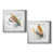 Silver Framed Paper selected