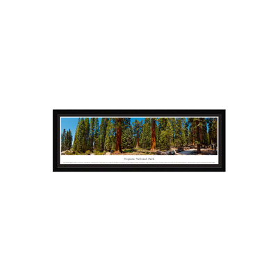 Sequoia National Park Panoramic Print