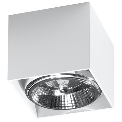 Flush Mount
