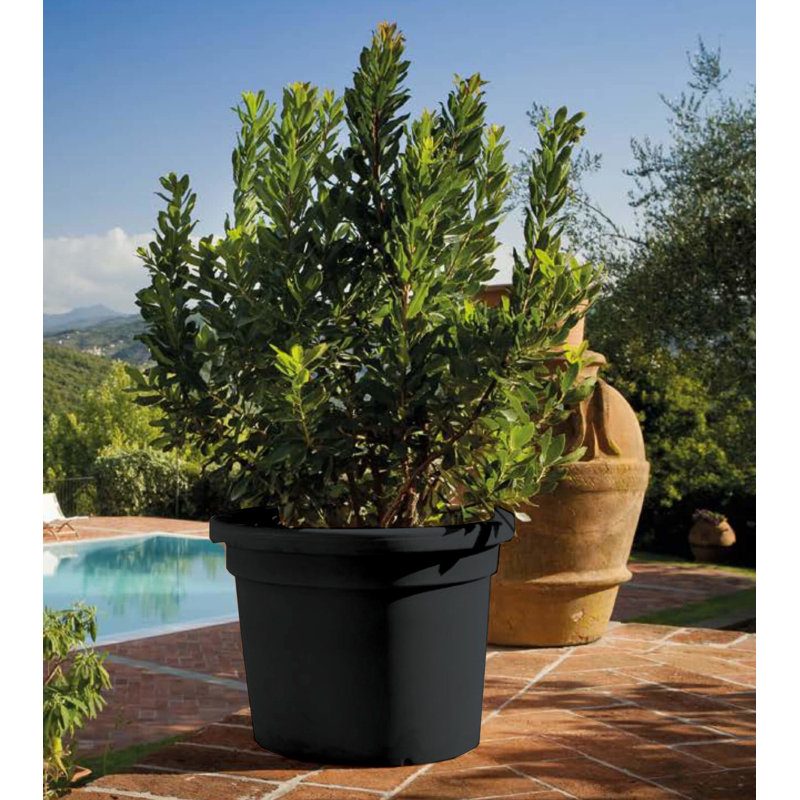 Shippenville Pot Planter, 45cm H x 60cm W x 60cm D, Impruneta