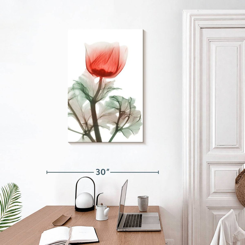Anémone Harnek Lonely Poinciana, H 30 po x l 20 po