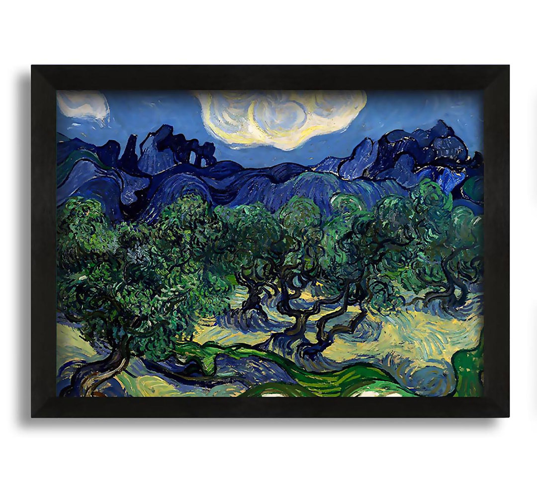 Leinwandbild The Olive Trees von Vincent Van Gogh