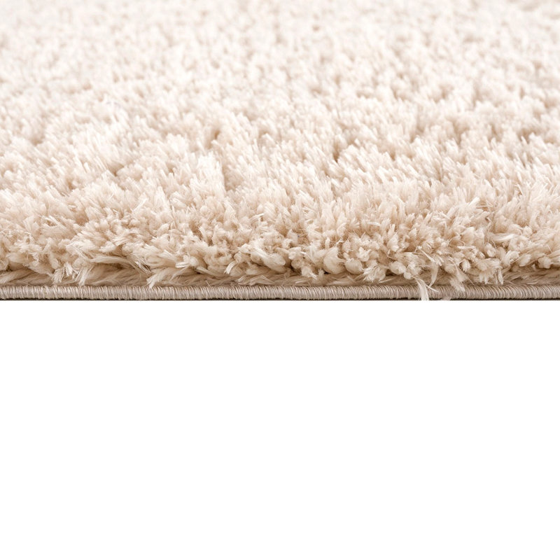 Tapis à poils longs en polyester super doux, Rectangle 3 pi 11 po x 5 pi 11 po