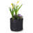 Anielka 10-Piece Plastic Nursery Pot-207067853