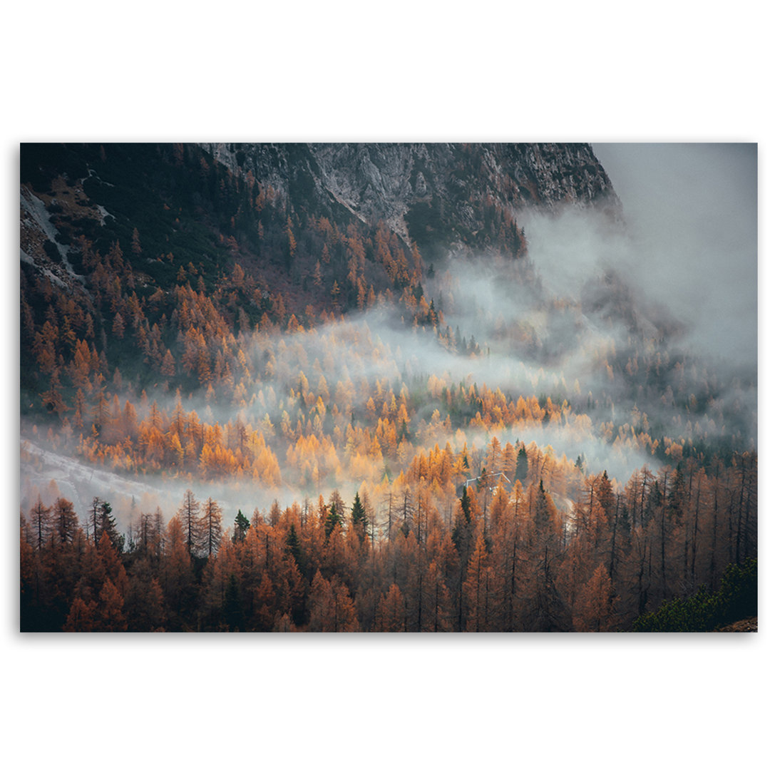 Wandbild, Landschaft Wald im Nebel