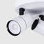 Auralia Spotlight-731373892