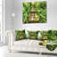 Photographie, mousse, autour d'une allée en bois avec coussin de pluie-30062111-30062115
