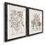 Sépia Besler Botanicals I-Premium, reproduction encadrée - prête à être accrochée-2108930047-2108929794