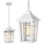 Luminaire suspendu d'extérieur 12,2 po câblé-100015661