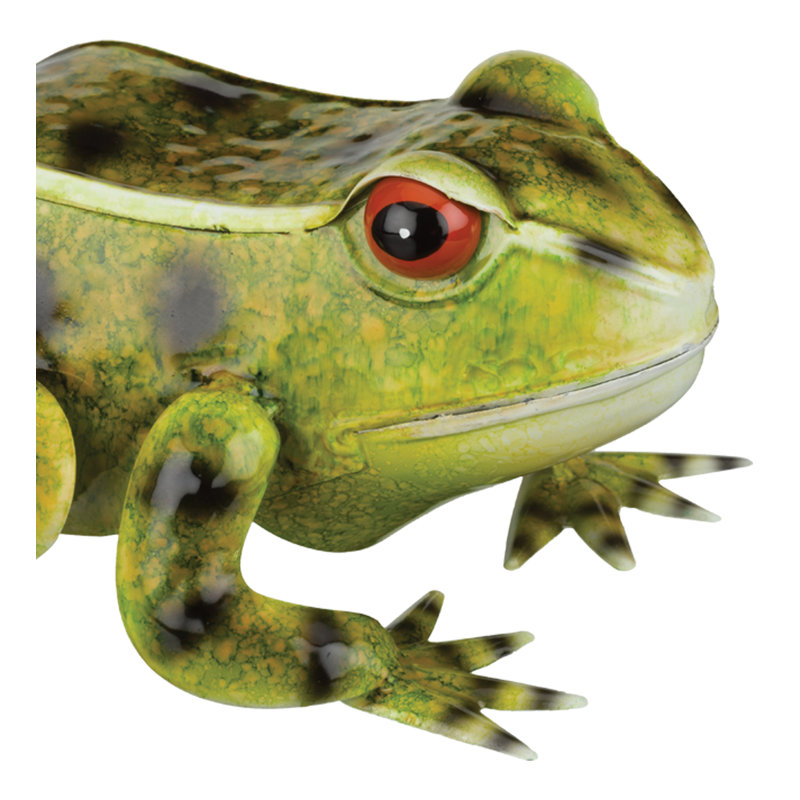 Décoration grenouille 9 po